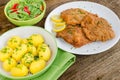 German schnitzel Royalty Free Stock Photo