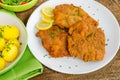 German schnitzel Royalty Free Stock Photo
