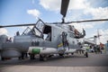 German sea lynx on berlin air show