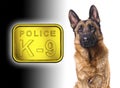 German shepard k9 police