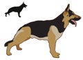 German Sheperd Royalty Free Stock Photo