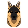 German shepherd avatar