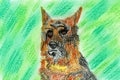 German Shepherd - Canidae - Colored Pencil/Soft Pastel
