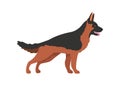 German shepherd. Cartoon adult military dog, vector illustration Royalty Free Stock Photo