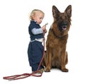 German shepherd dog with boy attaching leash