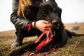 German Shepherd dog Brovko Vivchar walking in field with his mistress