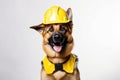 German Shepherd Dog Dressed As A Builder On White Background