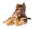 German shepherd dog embracing little bengal cat. isolated on white Royalty Free Stock Photo