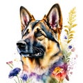 German shepherd dog with flowers. Watercolor illustration on white background. generative AI animal ai Royalty Free Stock Photo