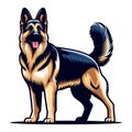 German shepherd dog full body vector illustration, standing dog, family pet, assistance, search service, rescue, police, and Royalty Free Stock Photo