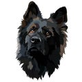 German shepherd dog. Head vector illustration isolated on white background Royalty Free Stock Photo