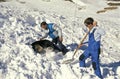 German Shepherd Dog, Man Training a Mountain Rescue Dog after Avalanche, Near Briancon in South East of France