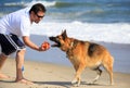 German Shepherd Dog Playing on Beach with Male Owner Royalty Free Stock Photo