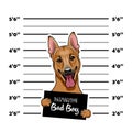 German Shepherd dog. Prisoner, convict. Dog criminal. Police placard, Police mugshot, lineup. Arrest photo. Mugshot photo. Vector. Royalty Free Stock Photo