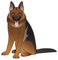 German shepherd dog vector drawing on isolated white background Royalty Free Stock Photo