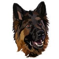 German shepherd dog. Vector illustration Royalty Free Stock Photo