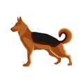 German Shepherd dog - Vector Illustration Royalty Free Stock Photo