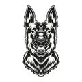 German shepherd dog