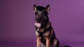 German Shepherd Dog Wearing A Cowboy Hat And Boots With On Purple Background. Generative AI