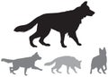 German shepherd dynamic vector silhouettes