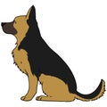 German Shepherd outlined flat-colored sitting Royalty Free Stock Photo