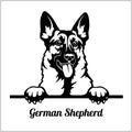 German Shepherd - Peeking Dogs - - breed face head isolated on white Royalty Free Stock Photo