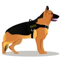 German shepherd Police dog Royalty Free Stock Photo