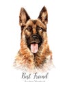 German Shepherd. Portrait of a dog. Set with dogs. Watercolor hand drawn illustration. Royalty Free Stock Photo