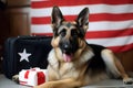German shepherd portrait lying down and American flag as background, closeup, AI generative content