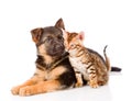 German shepherd puppy and bengal kitten together. isolated Royalty Free Stock Photo