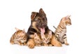 German Shepherd Puppy Dog Embracing Little Bengal Kittens. Isolated