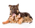 German Shepherd Puppy Dog Embracing Little Kittens. Isolated