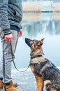 German shepherd puppy with owner Royalty Free Stock Photo