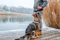 German shepherd puppy with owner at winter Royalty Free Stock Photo