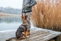 German shepherd puppy with owner at winter Royalty Free Stock Photo