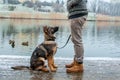 German shepherd puppy with owner at winter Royalty Free Stock Photo