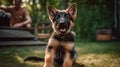 German Shepherd Puppy\'s First Training Session in the Yard