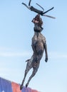 German short hair pointer in mid air catching a toy