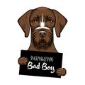 German Shorthaired pointer dog. Prisoner, convict. Dog criminal. Arrest photo. Mugshot photo. Dog bad boy. Vector. Royalty Free Stock Photo