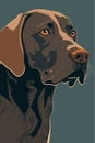 German Shorthaired Pointer. Dog Vector Illustration Royalty Free Stock Photo