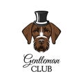 German Shorthaired Pointer gentlemat. Top hat. Dog portrait. Gentleman club inscription. Vector. Royalty Free Stock Photo