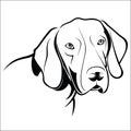 German Shorthaired Pointer