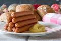 A plate with hot dogs and mustard