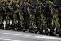 German soldiers take part at the Romanian National Day military parade Royalty Free Stock Photo