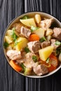 German soup Pichelsteiner or Bismarck stew with vegetables and three kinds of meat close-up in a bowl. Vertical top view Royalty Free Stock Photo