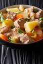 German stew Pihelsteiner with vegetables and three kinds of meat close-up in a bowl. vertical Royalty Free Stock Photo