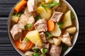 German stew Pihelsteiner with vegetables and three kinds of meat close-up in a bowl. Vertical top view Royalty Free Stock Photo