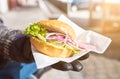 German style fish sandwich, bread roll with lettuce, onions and young herring Royalty Free Stock Photo
