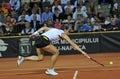 German tennis player Andrea Petkovic in action