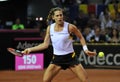 German tennis player Andrea Petkovic in action